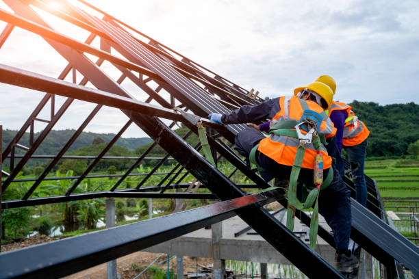 Best Metal Roofing Contractor  in Spring Valley, MN