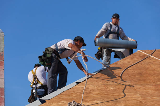 Best Flat Roof Repair Services  in Spring Valley, MN